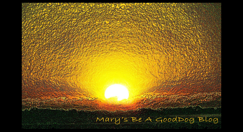 Mary's Be a GoodDog Blog