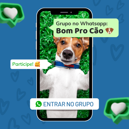 Bom Pro Cão no Whatsapp