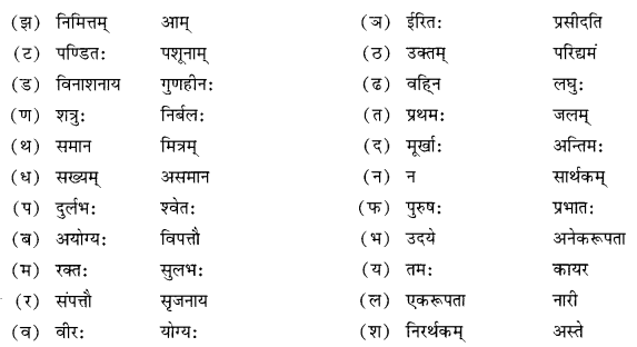 Solutions Class 10 शेमुषी भाग 2 Chapter-6 (सुभाषितानि)