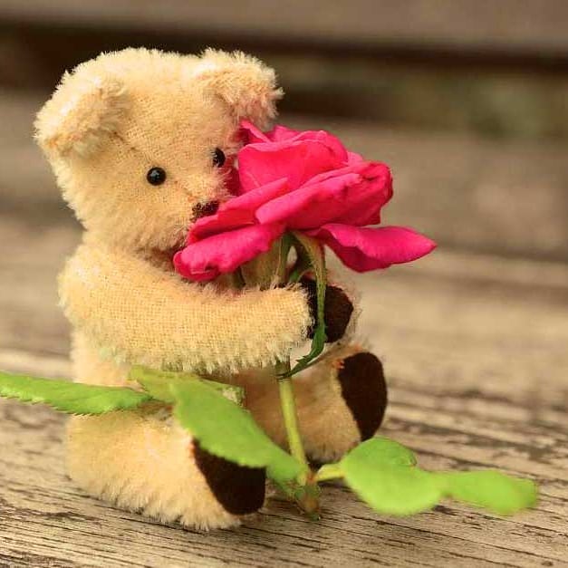 70 + WhatsApp DP Collection 2022 70 + WhatsApp DP Collection 2022