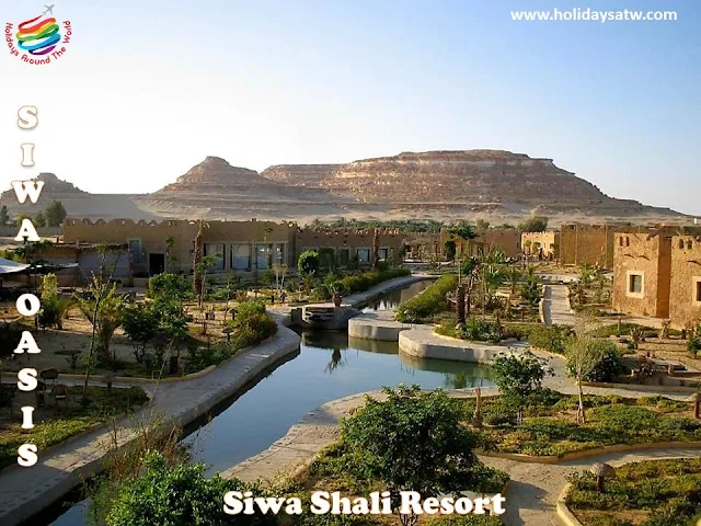 Recommended Siwa Oasis hotels
