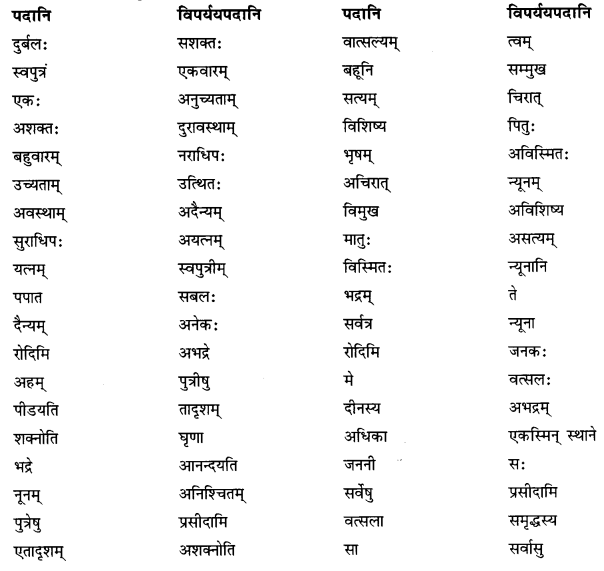 Solutions Class 10 शेमुषी भाग 2 Chapter-5 (जननी तुल्यवत्सला)