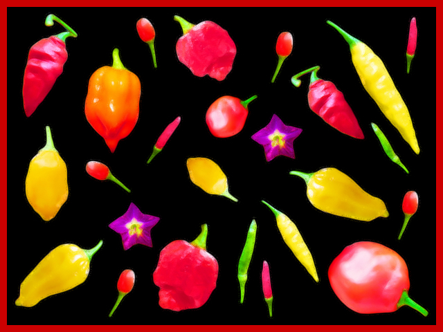 Chilli Pepper Art