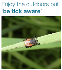 Be 'tick aware'