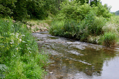 A Driftless Area stream