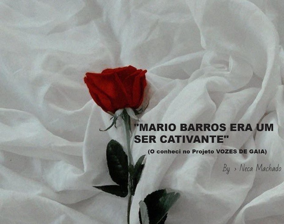 #mariobarros, 01 ano de saudade em 11.10.2023