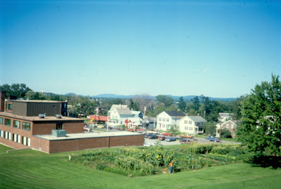 Medical Center Community Garden photo - 1980