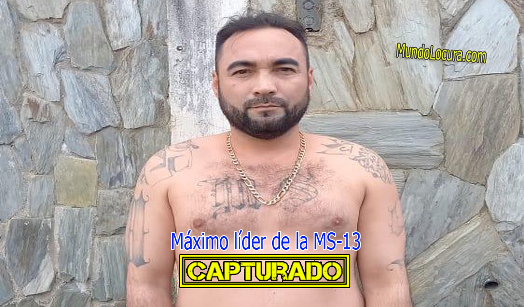 Policía de Guatemala captura a Walter Trejo, alias “El Míster”, máximo líder de la Mara Salvatrucha (MS13)