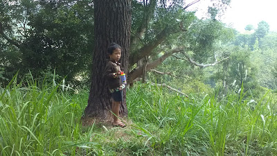 Kini telah beralih menjadi Jateng Valley