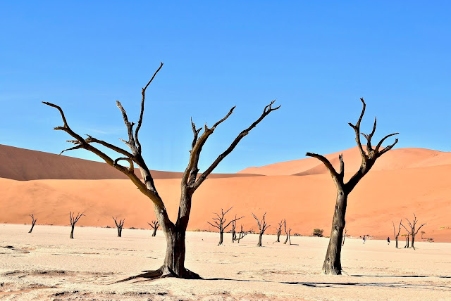 Chihuahuan Desert Location