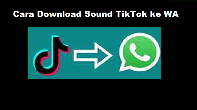 Cara Download Sound TikTok ke WA
