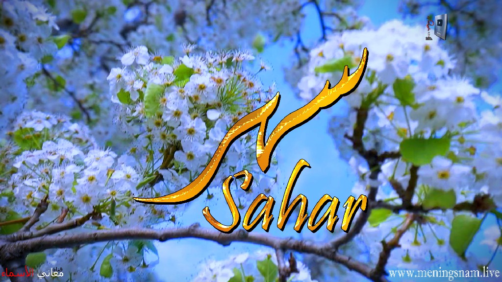 معنى اسم, سهر, وصفات, حاملة, هذا الاسم, Sahar,