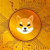 Why Shiba Inu Coin Is Falling?