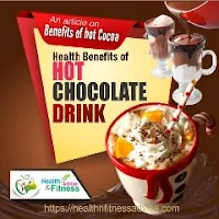 warm-chocolate-drink-healthnfitnessadvise-com