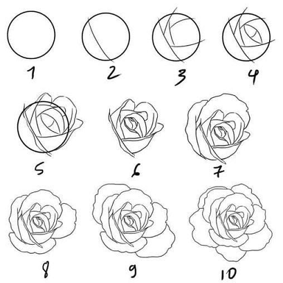 Aprende Como Dibujar una Rosa Paso a Paso [ Guia ]