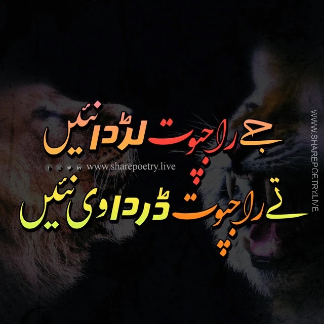 rajpoot poetry in urdu - Best Rajput Shayari urdu - Lion Image Background