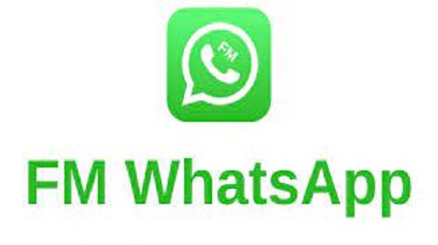 Aplikasi Whatsapp Terlihat Offline Padahal Online