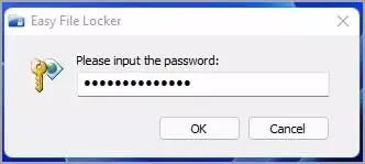 14-input-password