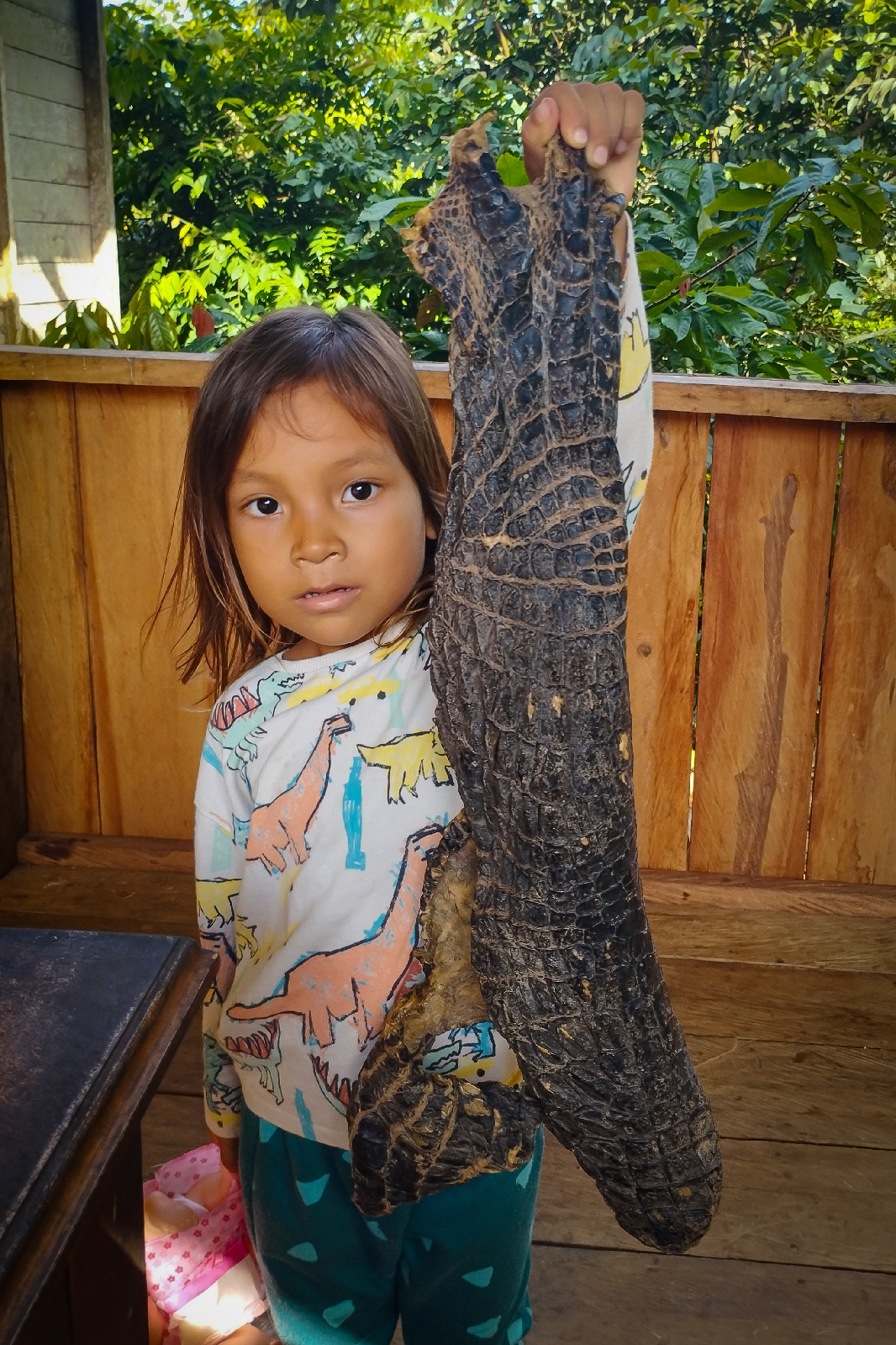 Día 20: Amazonas. Kayak - Leticia - Colombia y Curazao: Pajareo, Amazonas y Caribe (2)