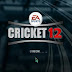 EA Sports Cricket 2012 Game Free Download