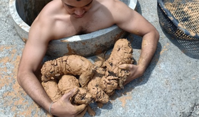  A man hears five puppies crying at the bottom of a well and jumps in to help them.