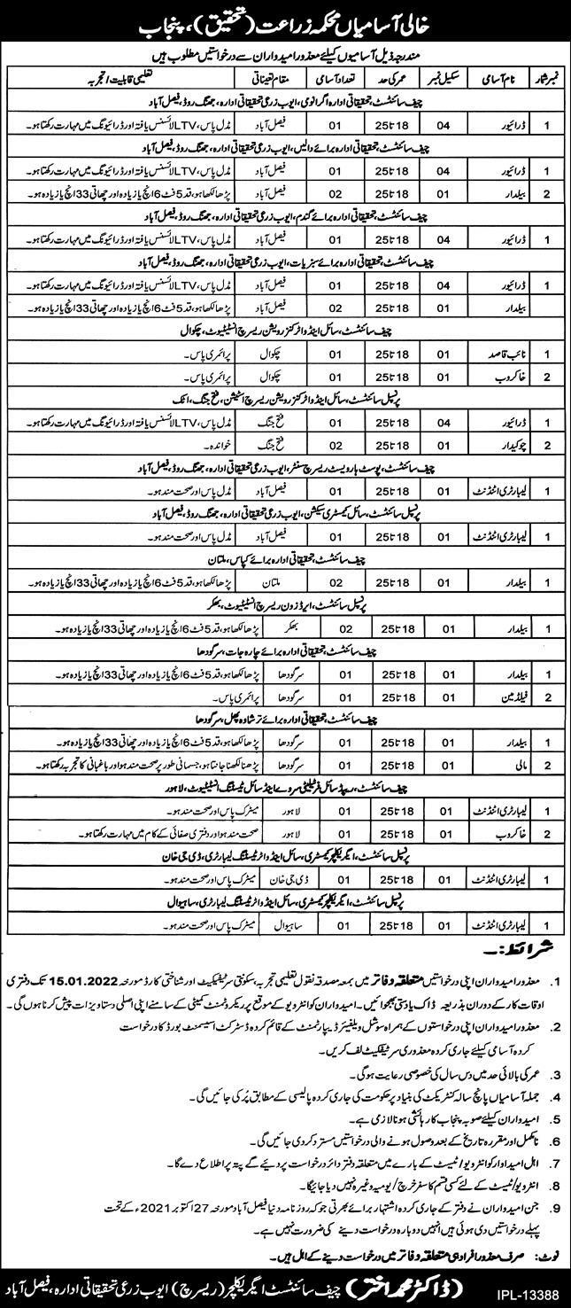 Agriculture Department Punjab Jobs 2022