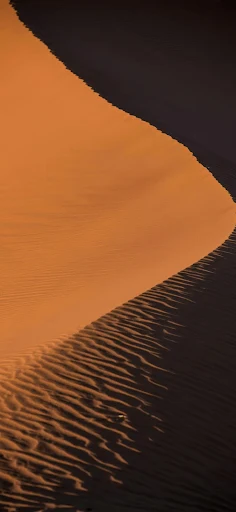 Golden sunlight over desert dunes wallpaper for phones