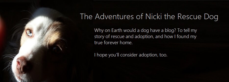 The Adventures of Nicki the Rescue Dog