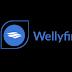 Wellyfin Forex Broker - Investigation for Fraud, Impersonation and Perjury – Fake Copyright Takedown Scam