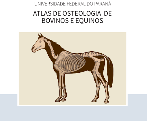 Atlas de Osteologia de Bovinos e Equinos - Download em PDF Grátis
