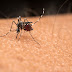 SUS vai aplicar vacina da dengue a partir de fevereiro em 521 cidades