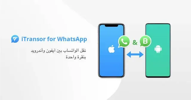 iTransor® for WhatsApp : أفضل برنامج لنقل واتساب بين ايفون واندرويد