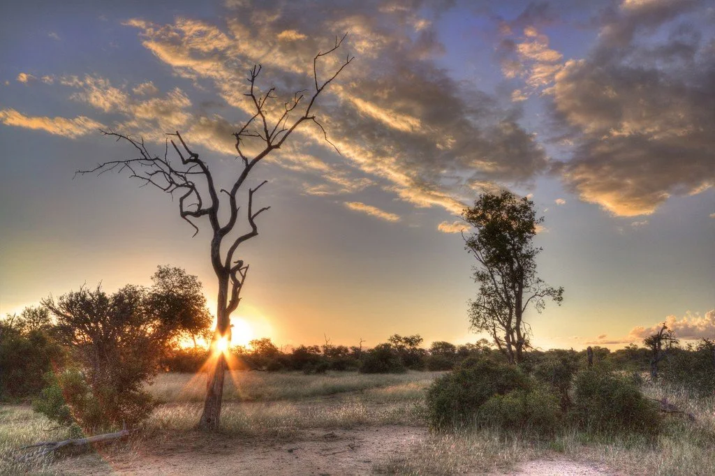 Kruger National Park South Africa