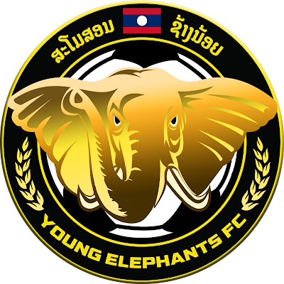 YOUNG ELEPHANTS FOOTBALL CLUB