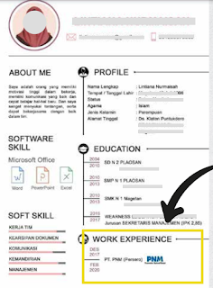 pengalaman kerja tidak jelas