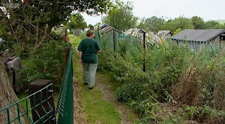 Christine allotment