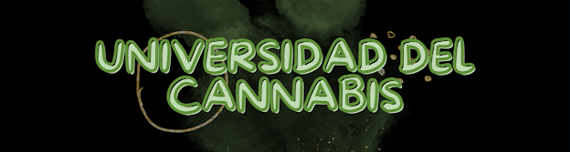 Universidad Del Cannabis