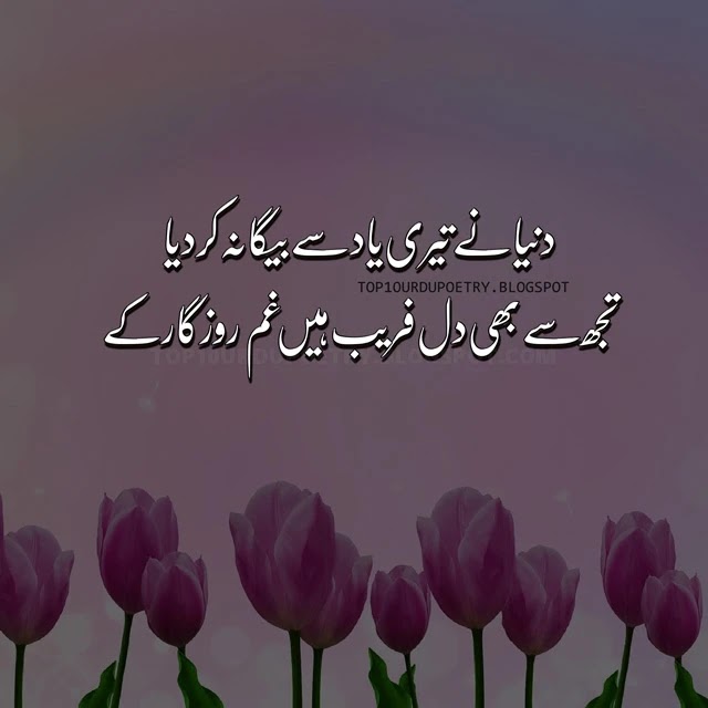 Best Urdu Shayar Poetry