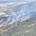 Más de 200 hectáreas afectadas por incendio forestal de Sagrada Familia