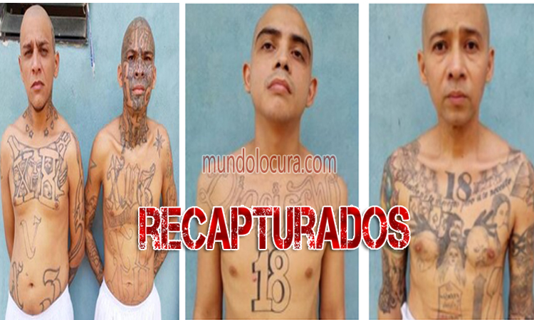 El Salvador: Recapturan a 4 peligrosos pandilleros quienes iban a salir en libertad luego de pagar condenas