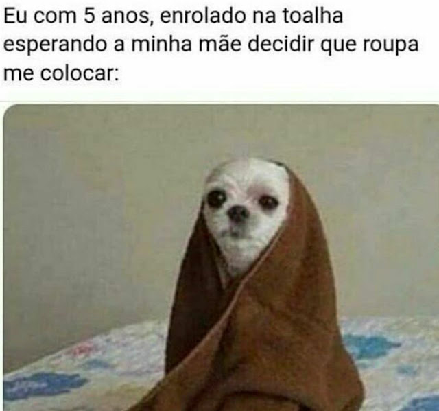 64 memes de cachorro para você ter na manga