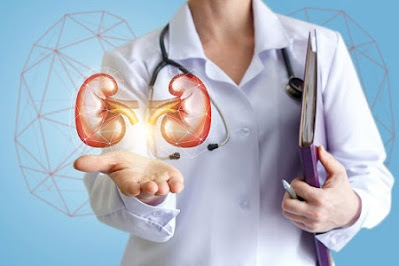 Nephrology and Urology Devices Market