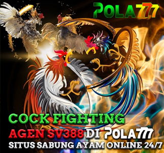 COCK FIGHTING