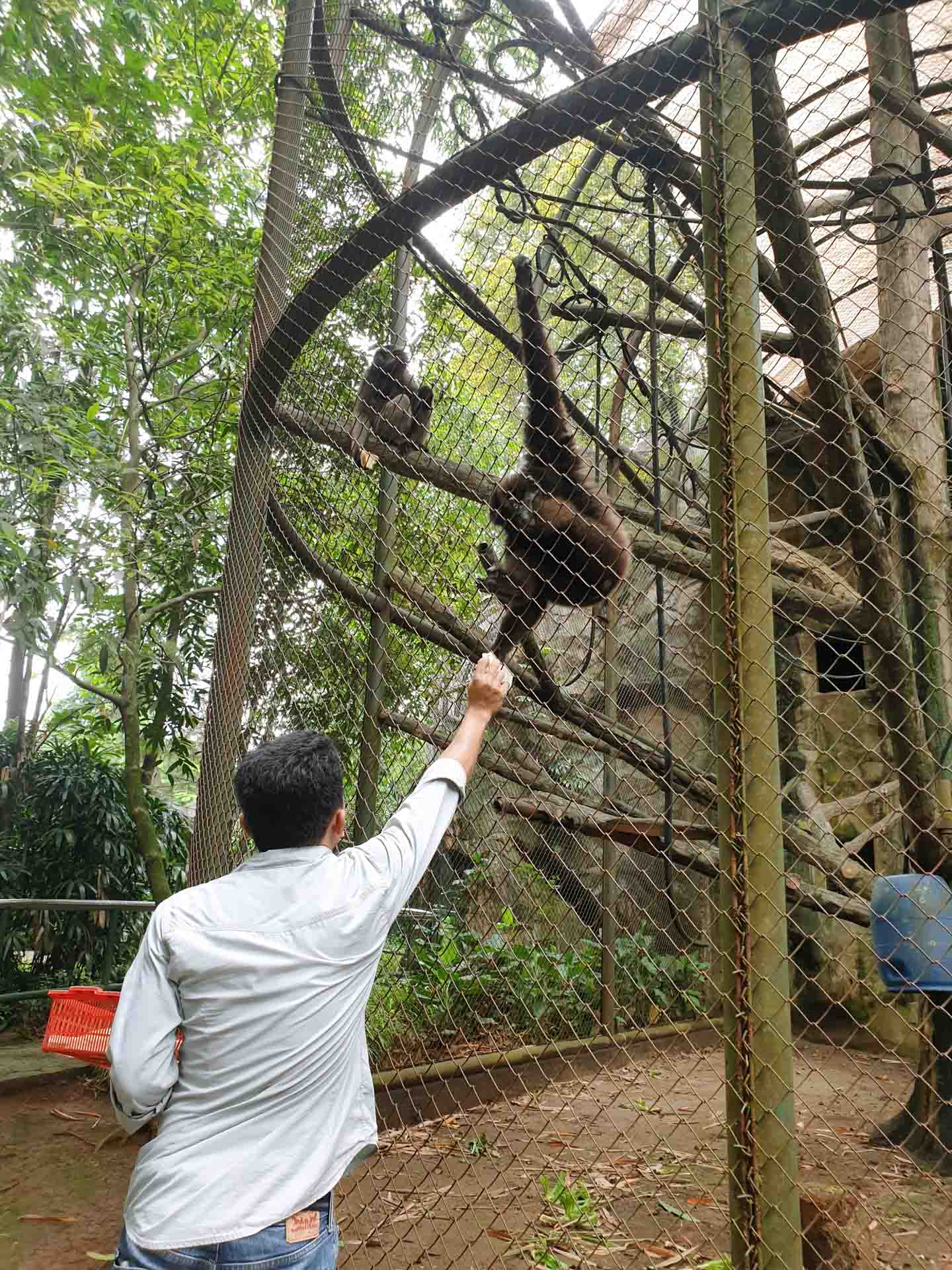 Kebun Binatang Ragunan Jakarta (zoo ragunan)