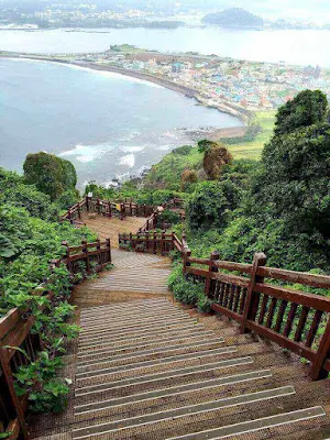 4 Tempat Wisata di Jeju Saat Winter yang Menarik Turis