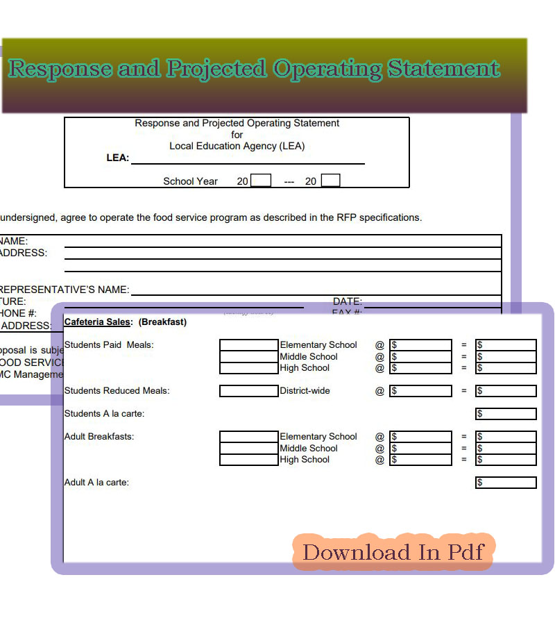Current Financial Operating Statement Sample