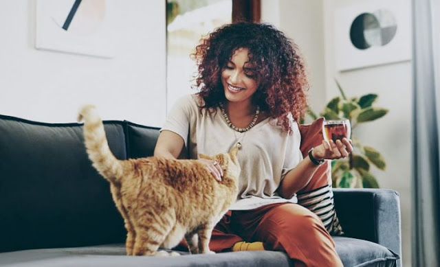 Women predestined to be the main human partner in human-cat relationships