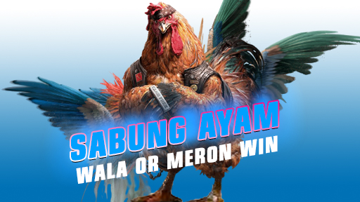 Sabung Ayam