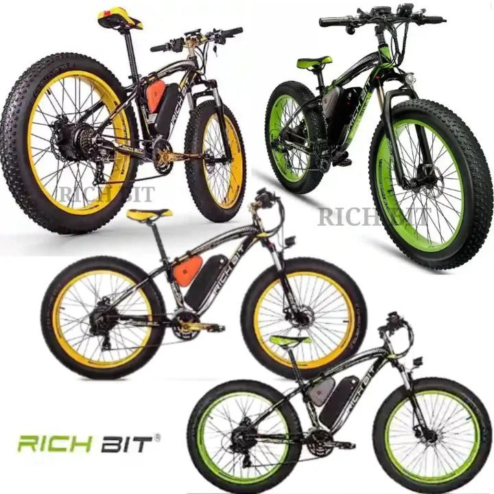 RICH BIT Bicycle: Rechargeable 1000W Power Motor Bike with 3 Cycling Modes (Electric, Pedal Assist and Normal Bicycling) - Why do you need an electric bike?