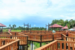  Wisata jembatan sawah, wisata foto baru di tengah sawah kota pariaman